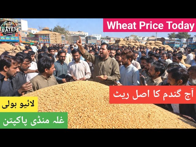 Wheat Price Update | Aaj Gandum Ka Rate | Ghalla Mandi Pakpattan 04 Apr 2026