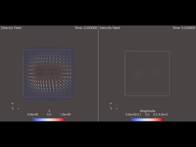 A Linear Finite Element based Projection Method for Nematic Liquid Crystal Flow