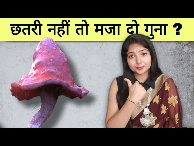 छतरी नहीं तो मजा दो गुना ? @studywithmeekta