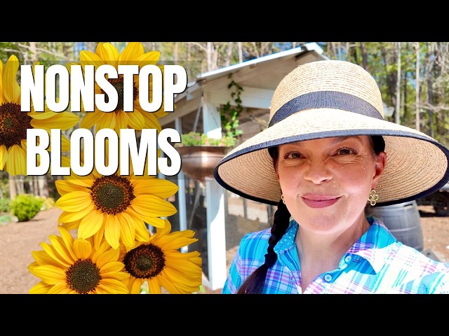 Plant This Combo for NONSTOP Blooms + Pollinators! (Easy Garden Formula)