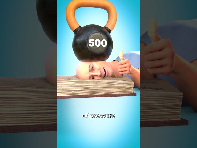 Can A Massive Book Break A Skull? 🤯