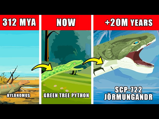 SCP-722 Origin Evolution: How SCP-722 (Jörmungandr) Could Have Evolved