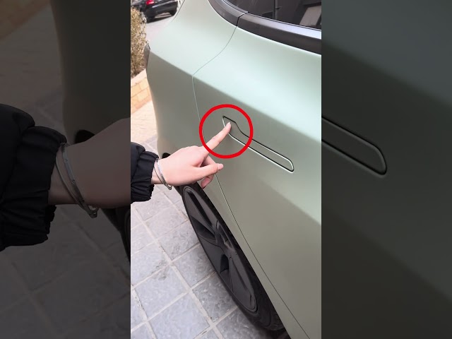 Do you know how to open a Tesla door?#driving  #skills  #tips  #knowledge  #fpy