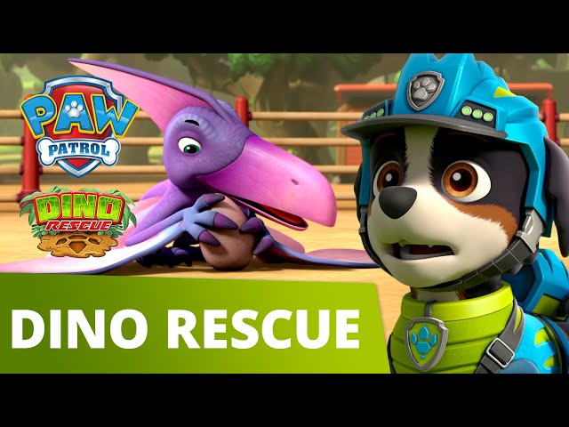 PAW Patrol Dino Rescue Mini Episode! - Pups Rescue a Dino Egg - PAW Patrol Official & Friends