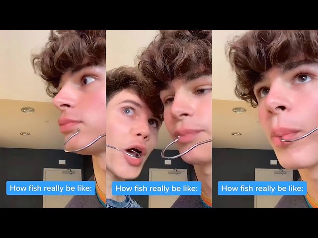 How fish be like 🐟 #shorts | Nicky and Pierre #NiPi