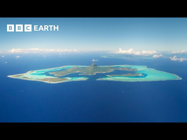 The Hidden Worlds of the South Pacific Islands | BBC Earth