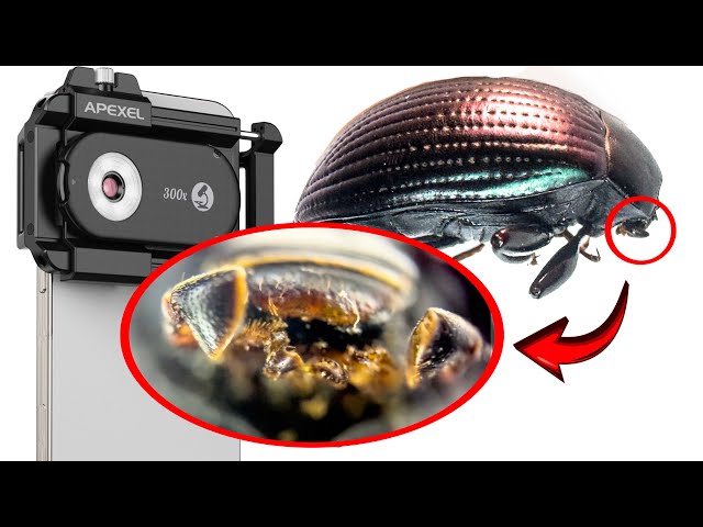INSANE MAGNIFICATION: Apexel 300mm MICROSCOPE Lens For Smartphone