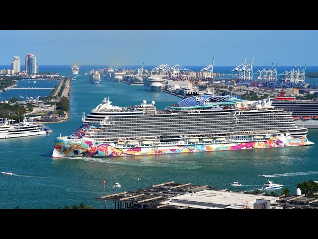 🔴 Port Miami Cruise Ship Terminals - LIVE