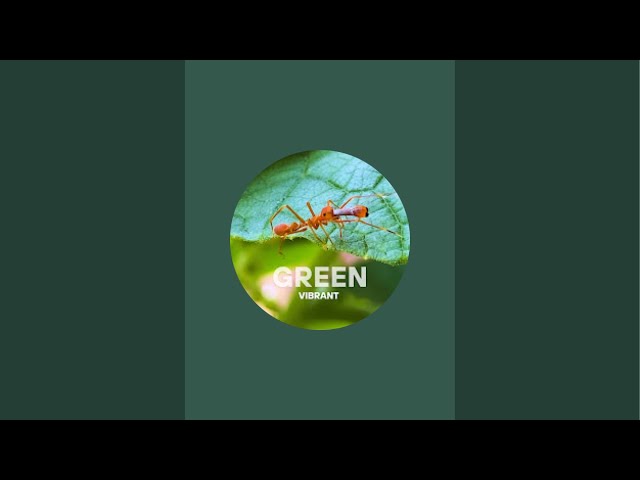 Writing my subscribers name✍🏻♥️