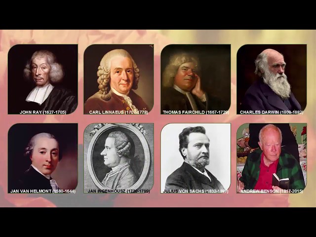 Introduction to Botany