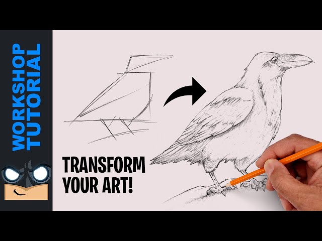 How to Draw a Raven | Members-Only Sketch Workshop