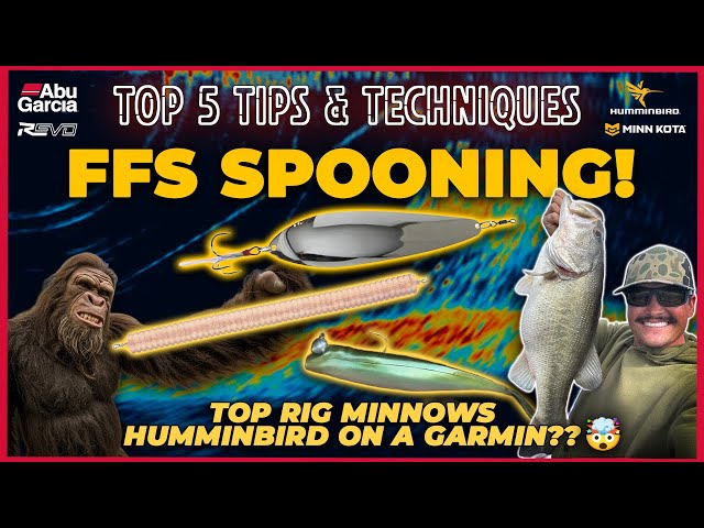 Top rig your minnow! A chain worm? 2 FFS spooning techniques! Top 5 Bass Fishing Tips!