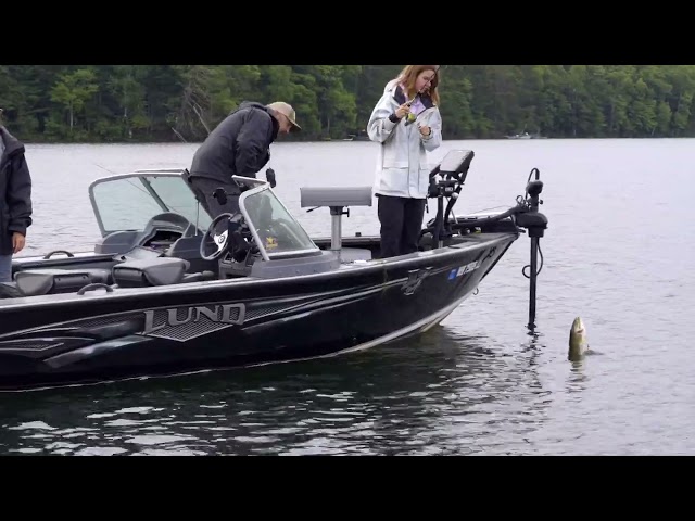 Discover the beauty of Hayward, Wisconsin this fall