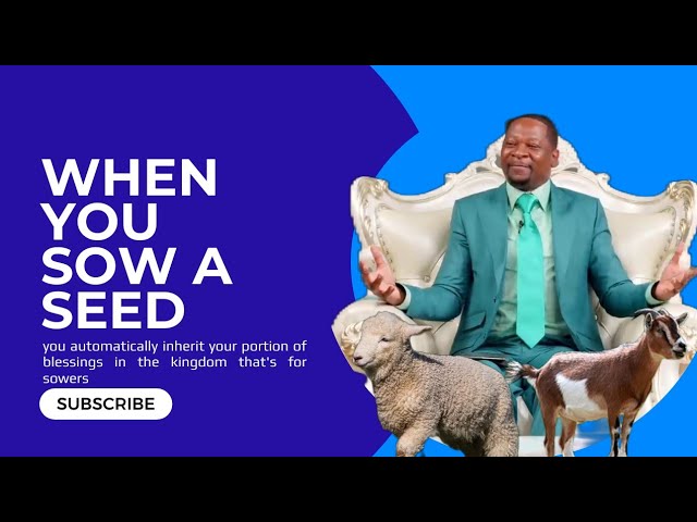 When You Sow Into The Kingdom, This Inheritance Waits For You || Prophet Emmanuel Makandiwa