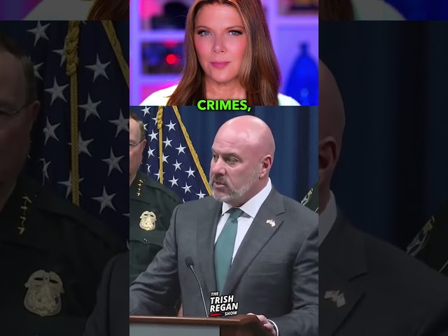 Here’s HOW We Hold Politicians ACCOUNTABLE!!