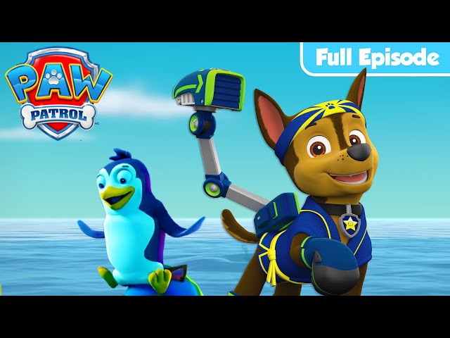 Pups Save the Penguins | PAW Patrol Full Episode | Cartoons for Kids
