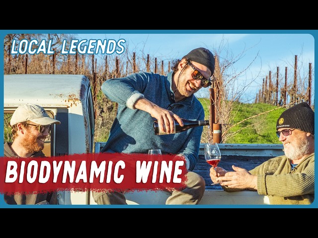 WORLD'S FIRST of it's Kind Vineyard... | Local Legends | Brad Leone