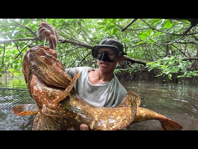 Dito pala Sila nag tatago sa malawak na MANGROVE FORESTS 