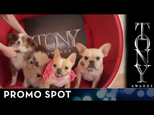 2014 Tony Awards - A Round of Appaws!