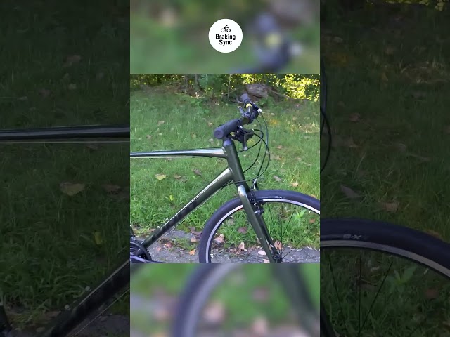 Why the Giant Escape 3 is Great for City Riding