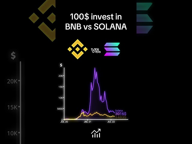 100$ invest in BNB vs SOLANA #bnb #solana #cryptocurrency