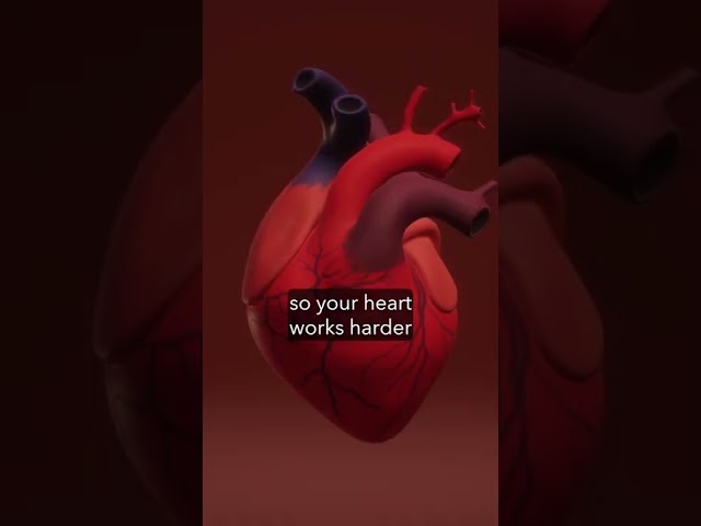 🥵 Heatwave: How does EXTREME HEAT affect the Human Body?