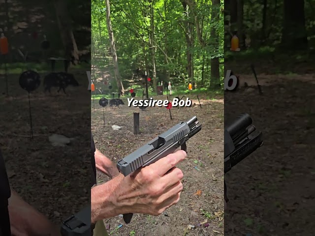 Carry Of The Day - PSA Dagger