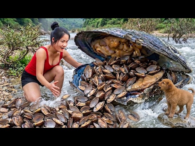 Harvest A Lot Of Clams from Fast flowing Stream - Go to market sell