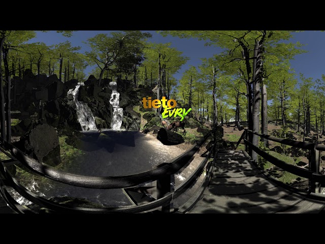 We love a clean environment...