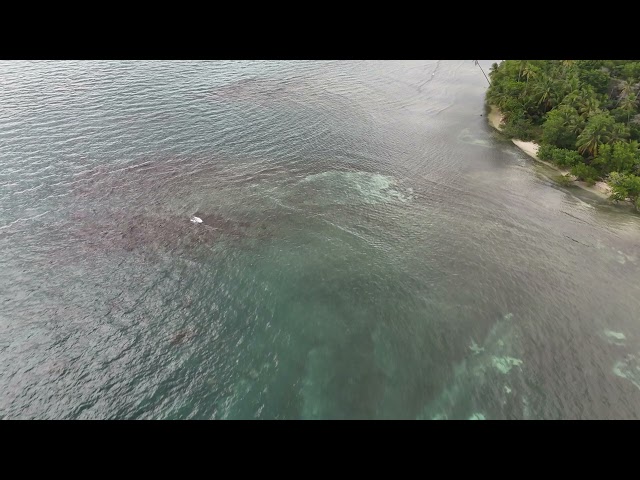 Part 3 Cabo Rojo Buye beach