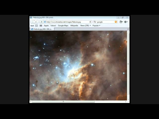 Creation v Evolution by Jason Burns