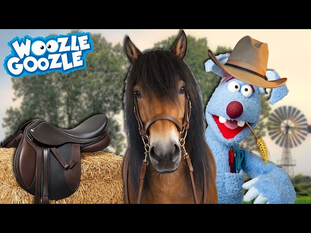 Seit wann reiten Menschen auf Pferden? l WOOZLE GOOZLE