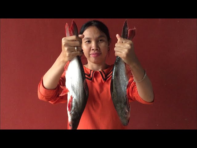 Caramelized Fish with Egg Recipe - Braised Fish and Egg Recipe