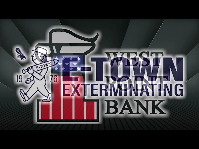 Softball LCHS vs NHHS final