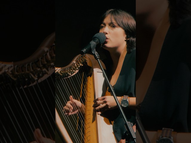 Today's the day! David Gilmour Live at the Circus Maximus, Rome is in cinemas & ​⁠@imaxmovies