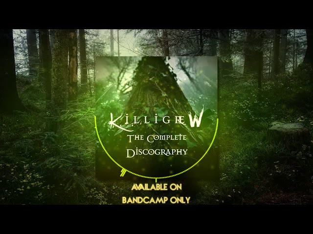 Beautiful Chillstep Mix | 2020