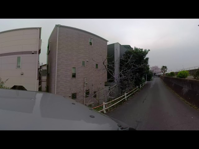 GoPro Fusion360°動画！桜の下をバイクで駆け抜ける！！