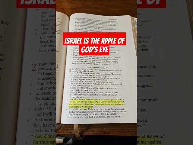 URGENT! MAJOR 2024 PROPHECY UPDATE