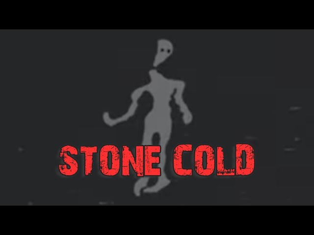 DON'T LOOK THEM IN THE EYES | Stone Cold (Analog Horror)