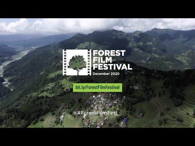 Forest Film Festival - December screening