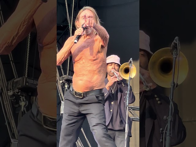 👕⚡ Red Hot Chili Peppers ft. Iggy Pop when silence wears sleeves #RHCP #iggyPop