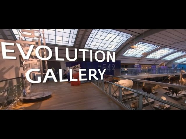 Travel through 541 million years of evolution in 360!
