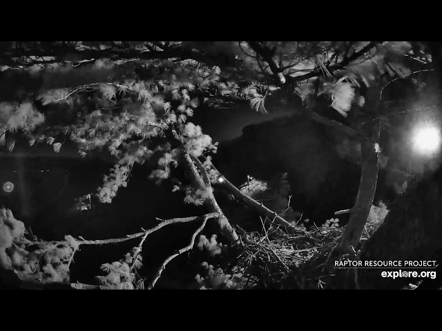 Trempealeau Eagles Live Stream