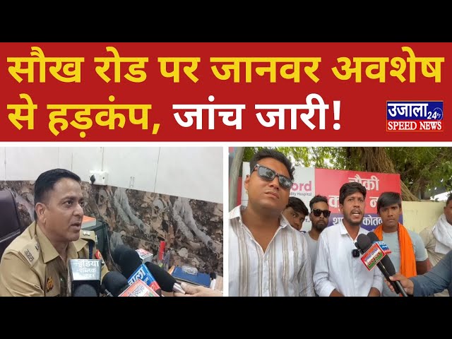 UJALA SPEED NEWS LIVE 24×7: Today breaking news