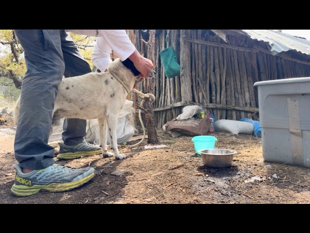 Yo solo me cale a inyectar a marcariux ! 