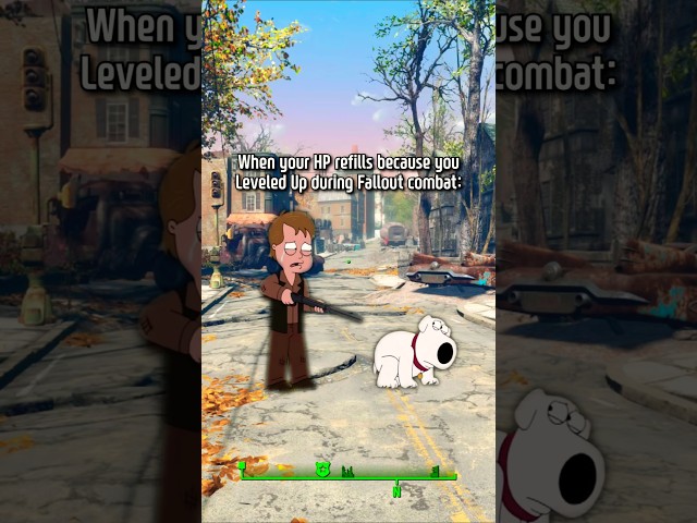 Fallout Games Leveling up be like...