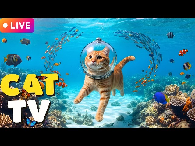 🔴[Cat TV 12H Stream] Stimulating Visual Games For Kittens😼Jolly The Cat: Deep Ocean Journey🌈