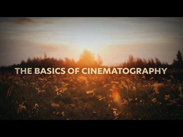 The Basics of Cinematography - Filmmaking for Beginners