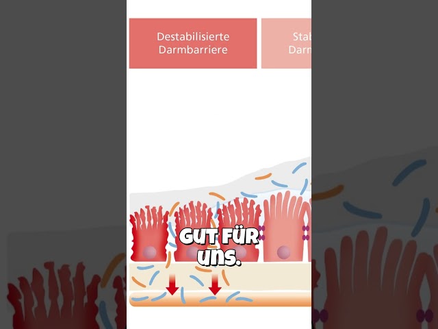 This is blocking your gut health