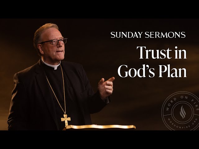 Trust in God’s Plan - Bishop Barron’s Sunday Sermon